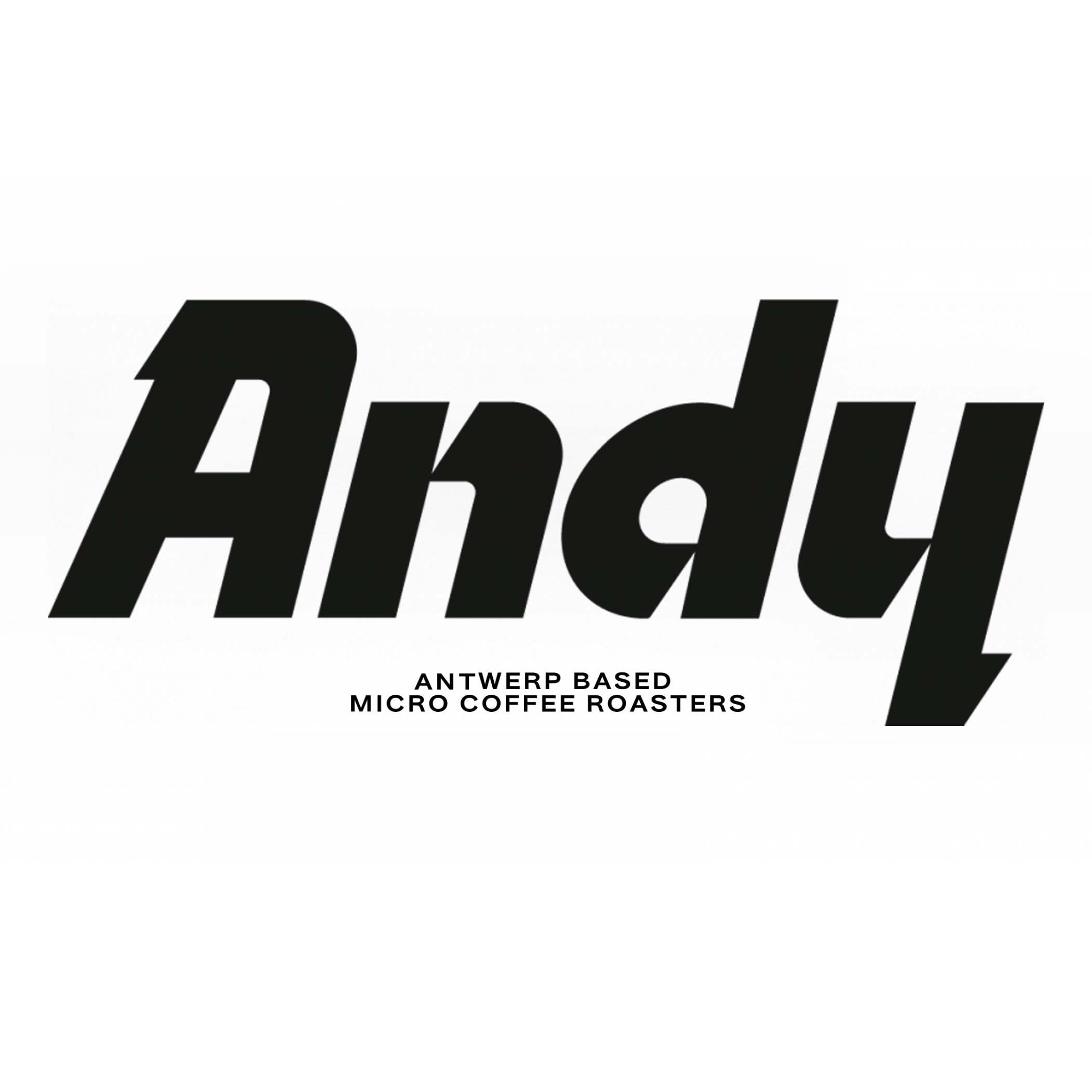 logo andy