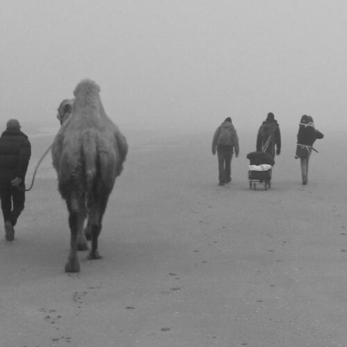 AS WE WALK // Concert+Film // g a b b o r (Hanne De Backer, Andreas Bral, Raf Vertessen)