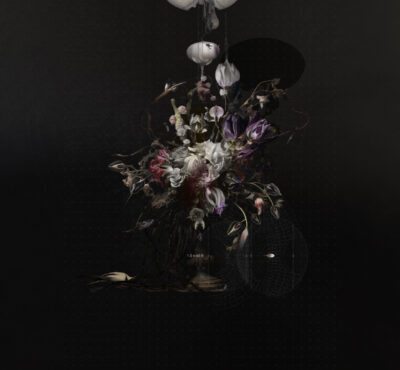 Ephraim Joris_Tangential Section of a speculative flower bouquet