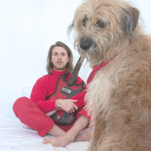 Club Cantin // Shy Dog
