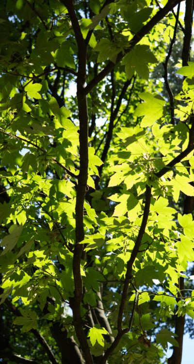 Foto_Zweefsauna_foto-70