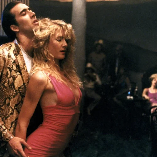 Cinema Depannage // Wild at Heart